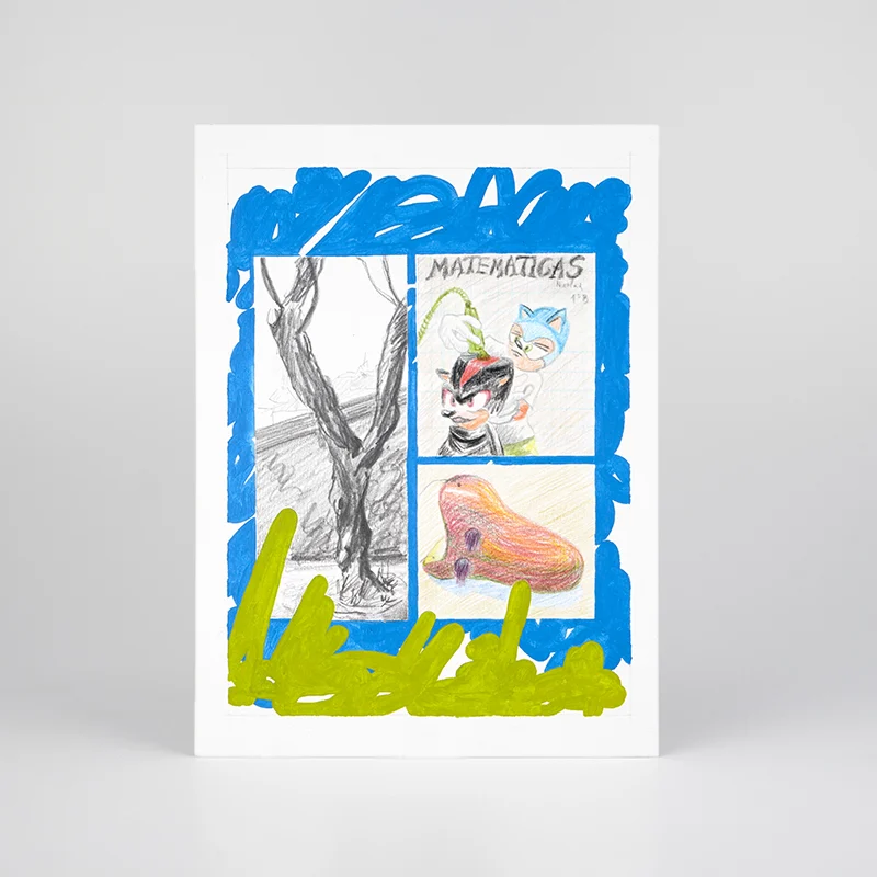 Edición del artista Fran Baena, Ediciones Le Projet